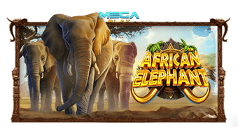เกมสล็อต African Elephant™