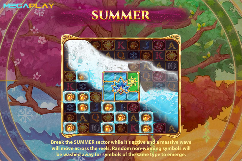 ฟีเจอร์ Summer