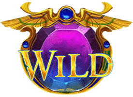 สัญลักษณ์ Wild VOA