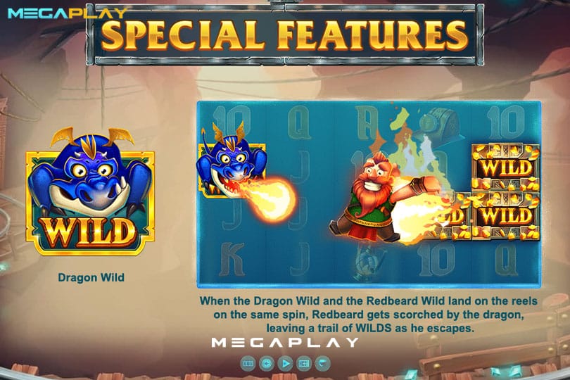 ฟีเจอร์ Dragon Wild