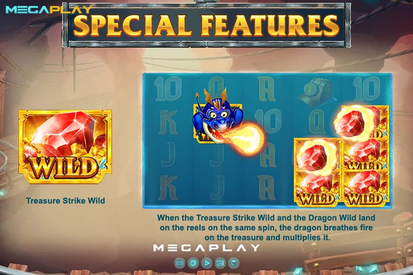ฟีเจอร์ Treasure Wild